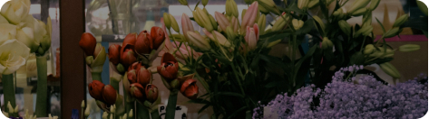 Для цветочных магазинов